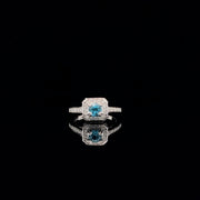 The Blusia