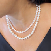 6mm - 6.5mm Pearl Strand