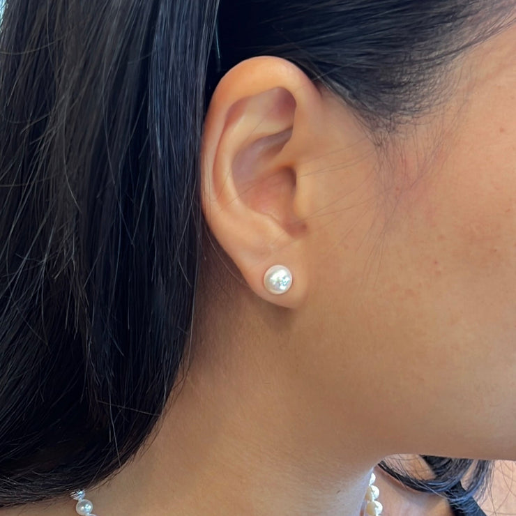Pearl Studs