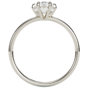 The Lexica Oval