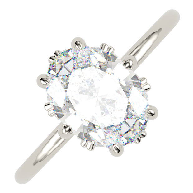 The Lexica Oval