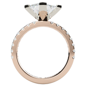 The Reneta